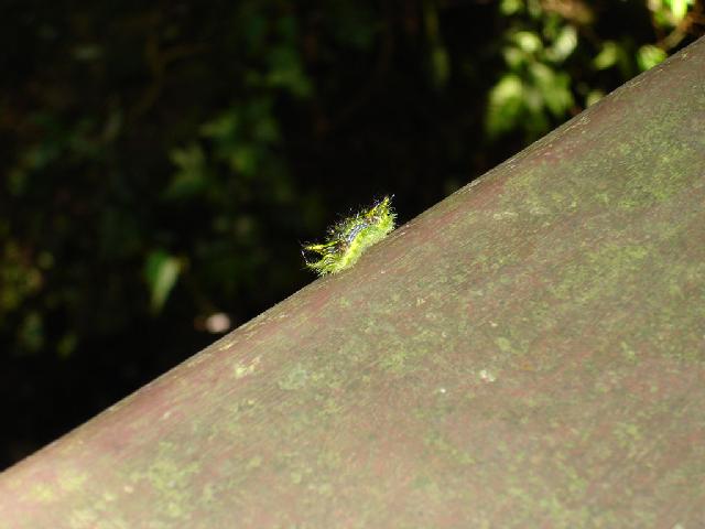 «ö¦¹¦b·sµøµ¡ÂsÄý¹Ï¤ù