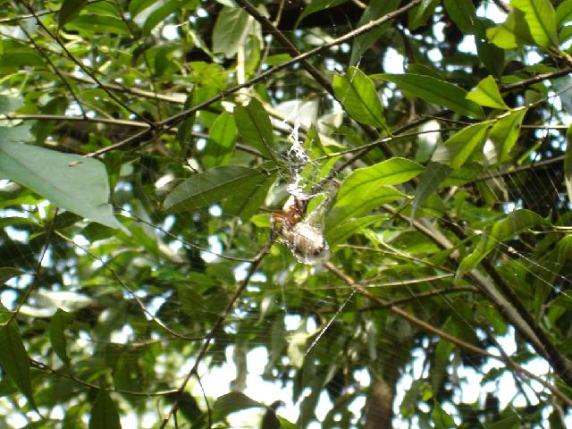 «ö¦¹¦b·sµøµ¡ÂsÄý¹Ï¤ù