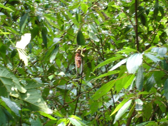 «ö¦¹¦b·sµøµ¡ÂsÄý¹Ï¤ù