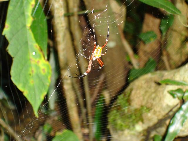 «ö¦¹¦b·sµøµ¡ÂsÄý¹Ï¤ù