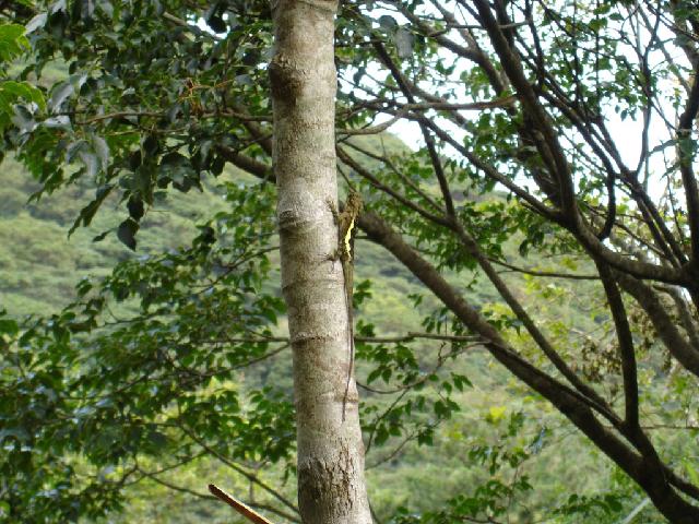 «ö¦¹¦b·sµøµ¡ÂsÄý¹Ï¤ù