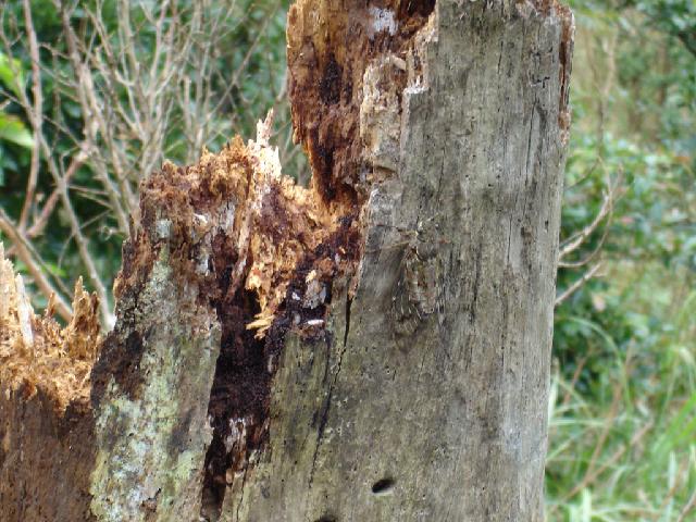 «ö¦¹¦b·sµøµ¡ÂsÄý¹Ï¤ù