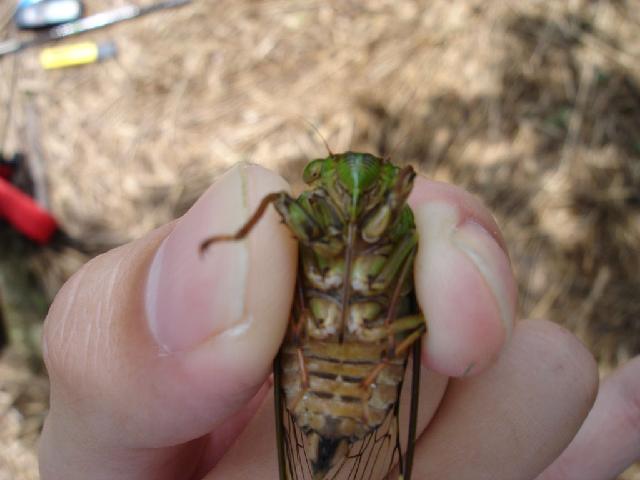 «ö¦¹¦b·sµøµ¡ÂsÄý¹Ï¤ù