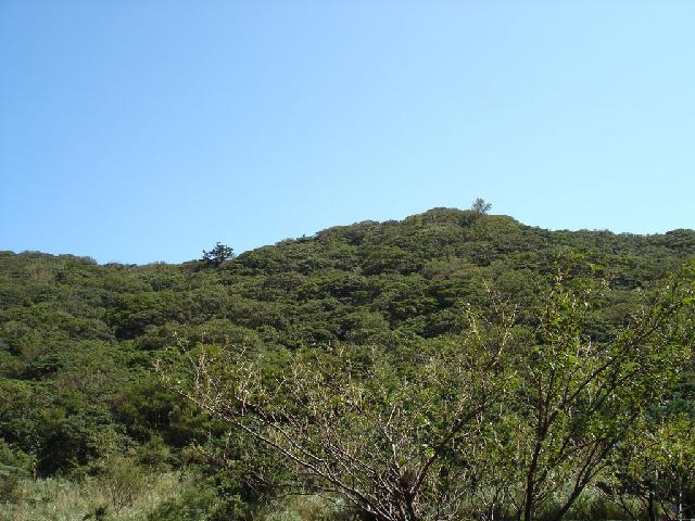 «ö¦¹¦b·sµøµ¡ÂsÄý¹Ï¤ù