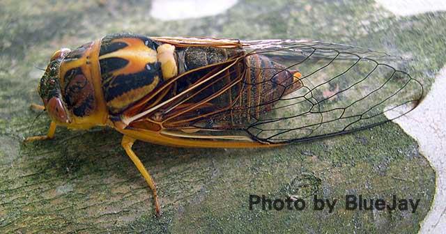 «ö¦¹¦b·sµøµ¡ÂsÄý¹Ï¤ù