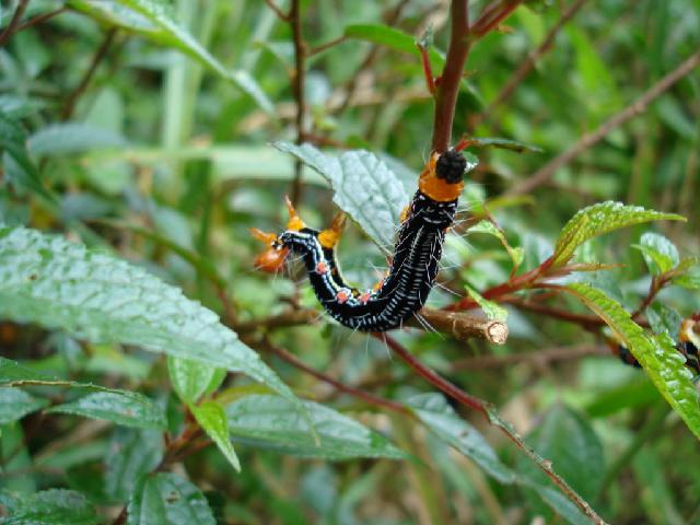 «ö¦¹¦b·sµøµ¡ÂsÄý¹Ï¤ù