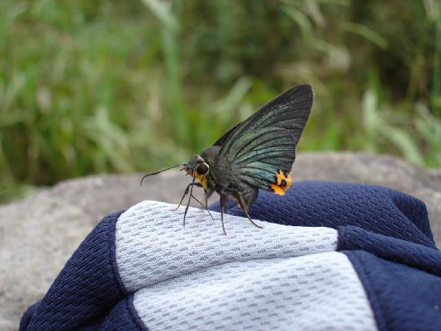 «ö¦¹¦b·sµøµ¡ÂsÄý¹Ï¤ù