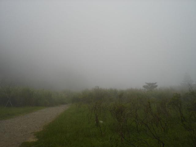 «ö¦¹¦b·sµøµ¡ÂsÄý¹Ï¤ù