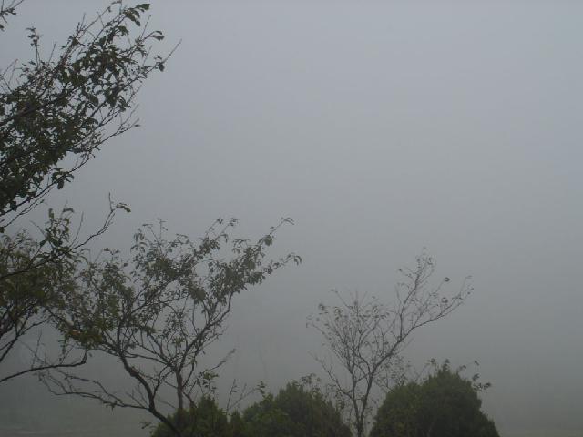 «ö¦¹¦b·sµøµ¡ÂsÄý¹Ï¤ù