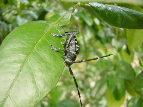 按此在新視窗瀏覽圖片