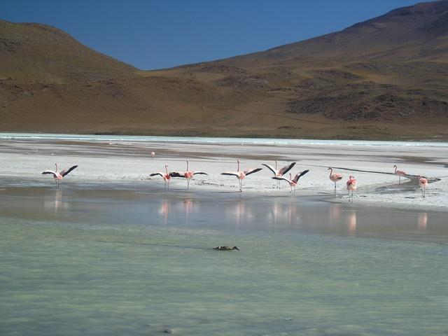 按此在新視窗瀏覽圖片
