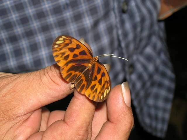 按此在新視窗瀏覽圖片