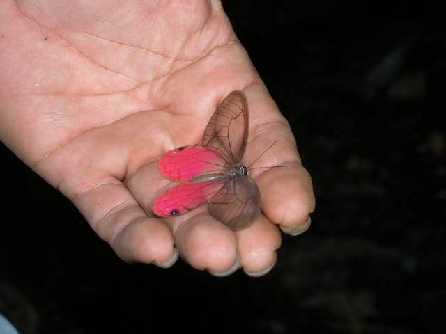 按此在新視窗瀏覽圖片