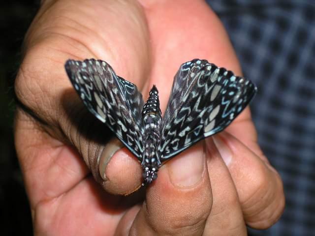 按此在新視窗瀏覽圖片