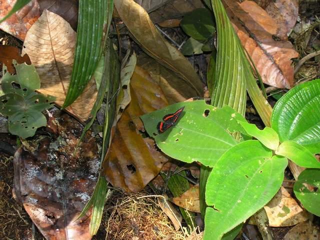 按此在新視窗瀏覽圖片