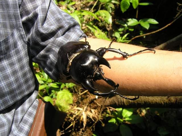 按此在新視窗瀏覽圖片