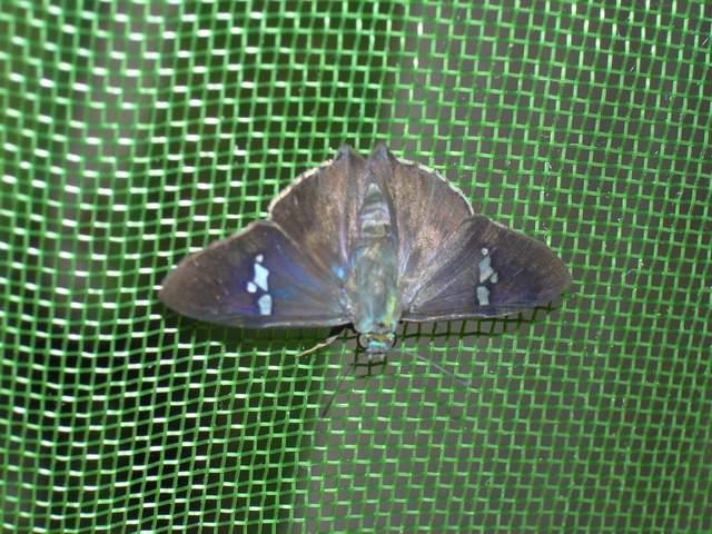 按此在新視窗瀏覽圖片