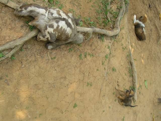 按此在新視窗瀏覽圖片