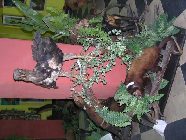 «ö¦¹¦b·sµøµ¡ÂsÄý¹Ï¤ù