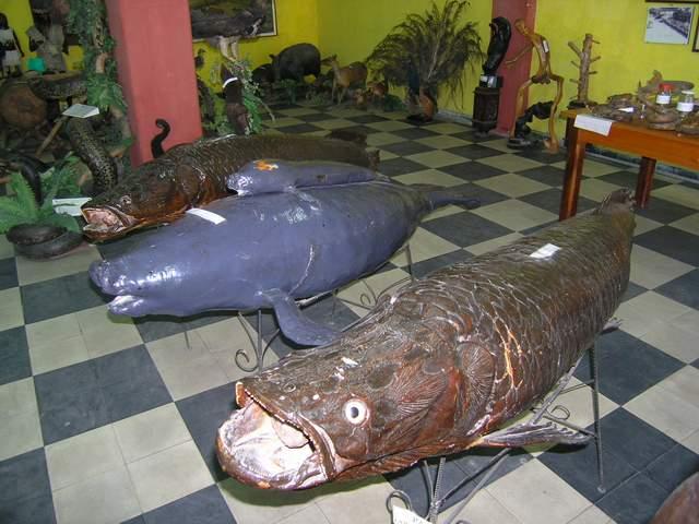 «ö¦¹¦b·sµøµ¡ÂsÄý¹Ï¤ù