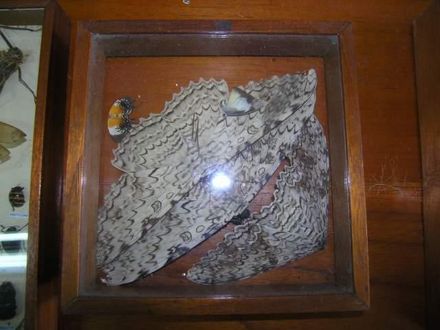 «ö¦¹¦b·sµøµ¡ÂsÄý¹Ï¤ù