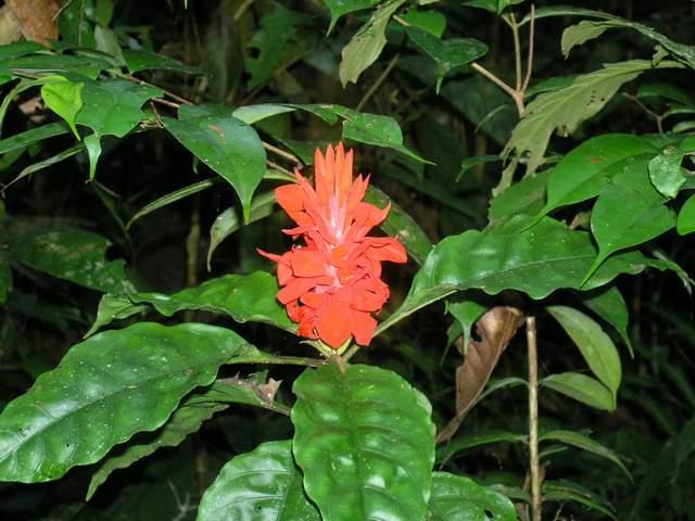 «ö¦¹¦b·sµøµ¡ÂsÄý¹Ï¤ù