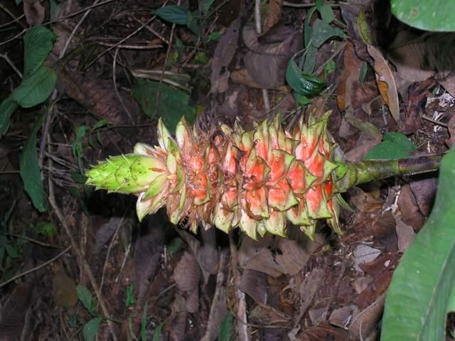 «ö¦¹¦b·sµøµ¡ÂsÄý¹Ï¤ù