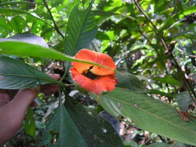 «ö¦¹¦b·sµøµ¡ÂsÄý¹Ï¤ù