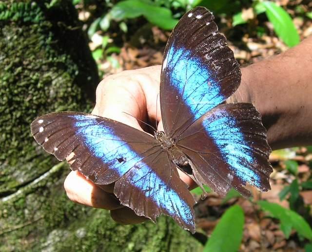 «ö¦¹¦b·sµøµ¡ÂsÄý¹Ï¤ù