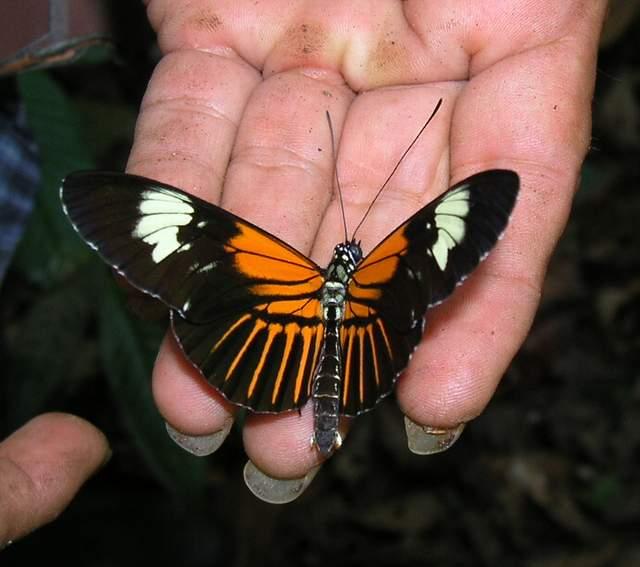 «ö¦¹¦b·sµøµ¡ÂsÄý¹Ï¤ù