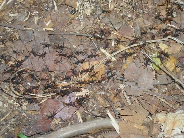 «ö¦¹¦b·sµøµ¡ÂsÄý¹Ï¤ù