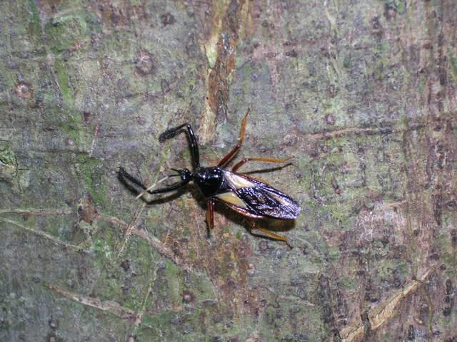 «ö¦¹¦b·sµøµ¡ÂsÄý¹Ï¤ù