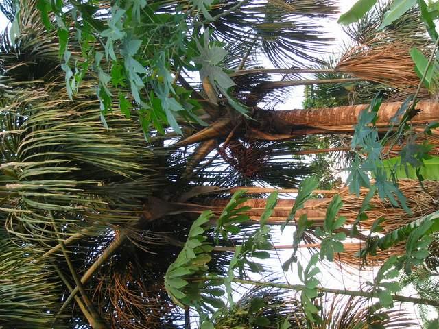 «ö¦¹¦b·sµøµ¡ÂsÄý¹Ï¤ù