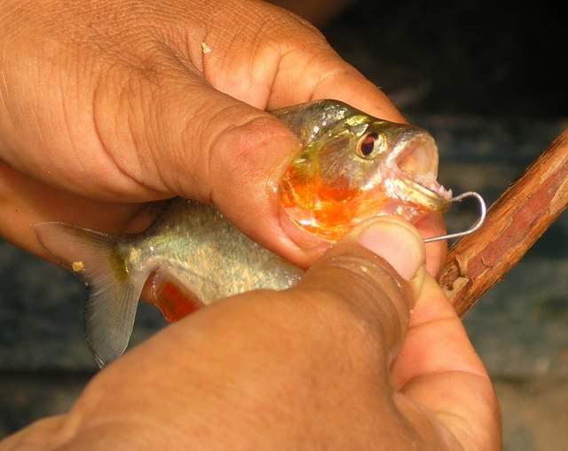 «ö¦¹¦b·sµøµ¡ÂsÄý¹Ï¤ù