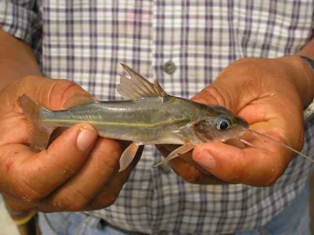 «ö¦¹¦b·sµøµ¡ÂsÄý¹Ï¤ù