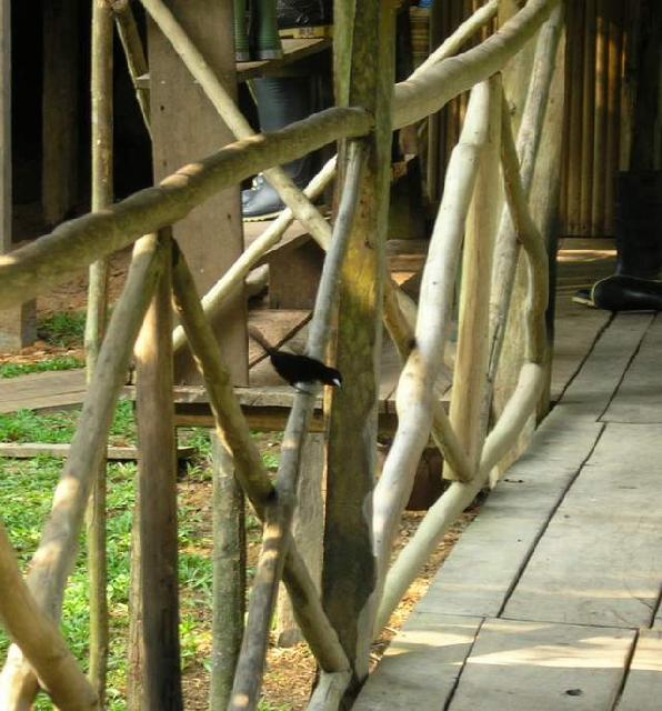 «ö¦¹¦b·sµøµ¡ÂsÄý¹Ï¤ù