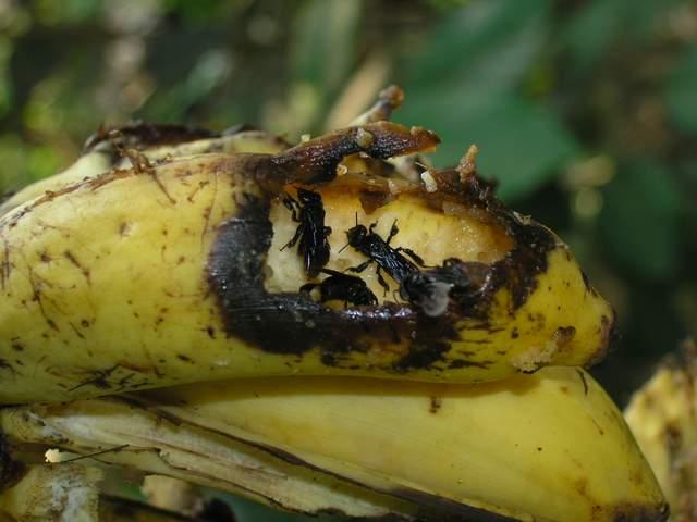 «ö¦¹¦b·sµøµ¡ÂsÄý¹Ï¤ù