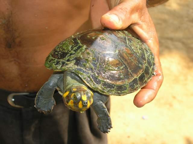 «ö¦¹¦b·sµøµ¡ÂsÄý¹Ï¤ù