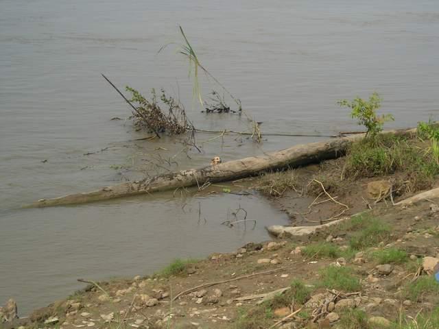 «ö¦¹¦b·sµøµ¡ÂsÄý¹Ï¤ù