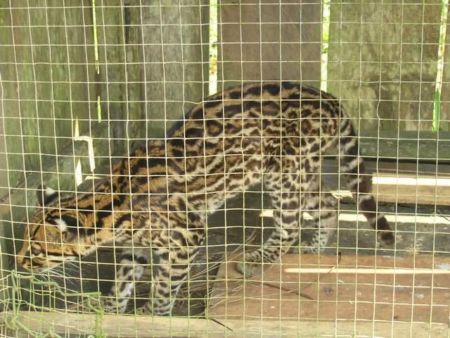 «ö¦¹¦b·sµøµ¡ÂsÄý¹Ï¤ù