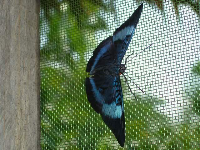 «ö¦¹¦b·sµøµ¡ÂsÄý¹Ï¤ù