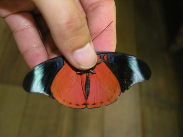 «ö¦¹¦b·sµøµ¡ÂsÄý¹Ï¤ù