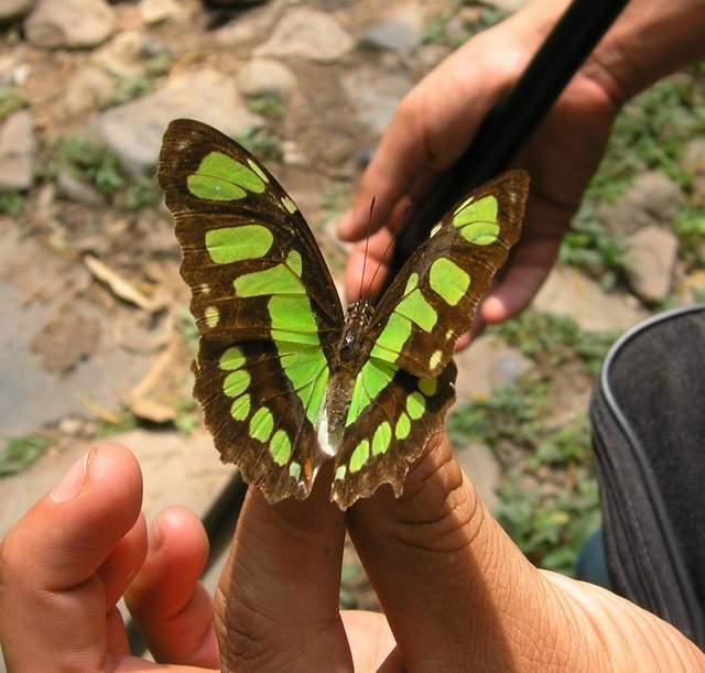 按此在新視窗瀏覽圖片