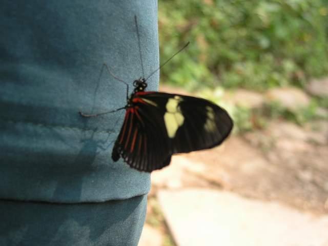 按此在新視窗瀏覽圖片