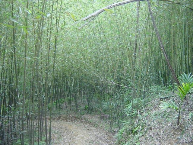 按此在新視窗瀏覽圖片