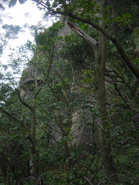 按此在新視窗瀏覽圖片