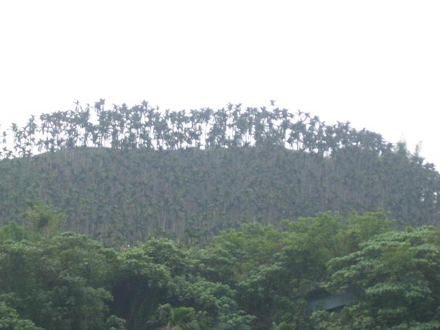 «ö¦¹¦b·sµøµ¡ÂsÄý¹Ï¤ù