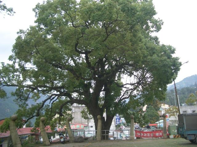 «ö¦¹¦b·sµøµ¡ÂsÄý¹Ï¤ù