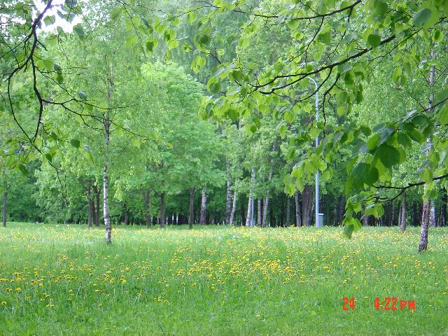 «ö¦¹¦b·sµøµ¡ÂsÄý¹Ï¤ù