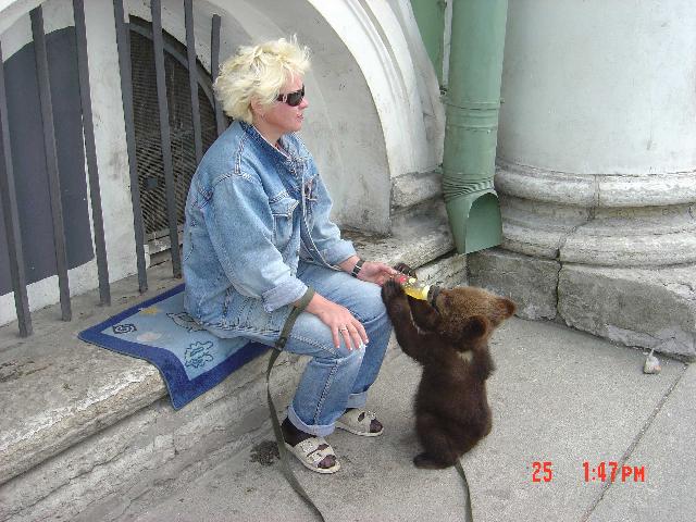 «ö¦¹¦b·sµøµ¡ÂsÄý¹Ï¤ù